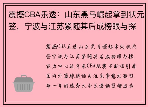 震撼CBA乐透：山东黑马崛起拿到状元签，宁波与江苏紧随其后成榜眼与探花