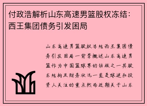 付政浩解析山东高速男篮股权冻结：西王集团债务引发困局